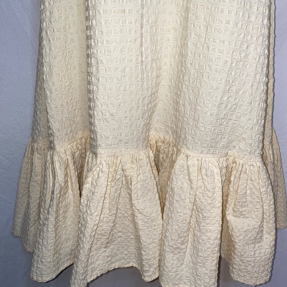 Ruffled Puffed Sleeved Dress - Picture 10 of 12